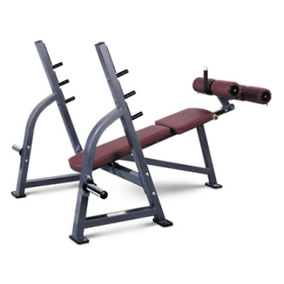 乔山JOHNSON系列奥林匹克下斜椅FW165