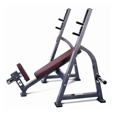 乔山JOHNSON系列奥林匹克上斜椅FW164